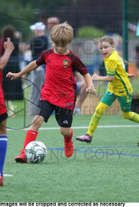 Meadow Sports 2026